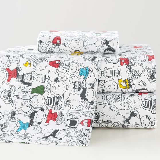 Peanuts® Friends Flannel Sheet Set PBteen